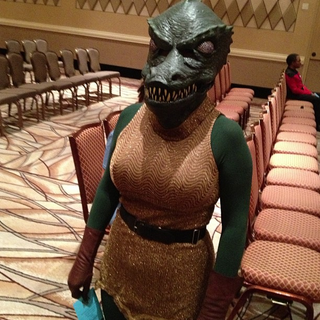 Illustration for article titled The Greatest Star Trek Cosplay of the Year
